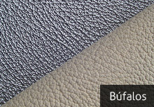 Búfalos